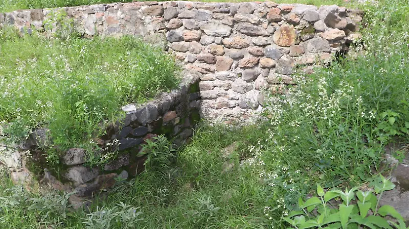 Zona arqueológica de El Rosario